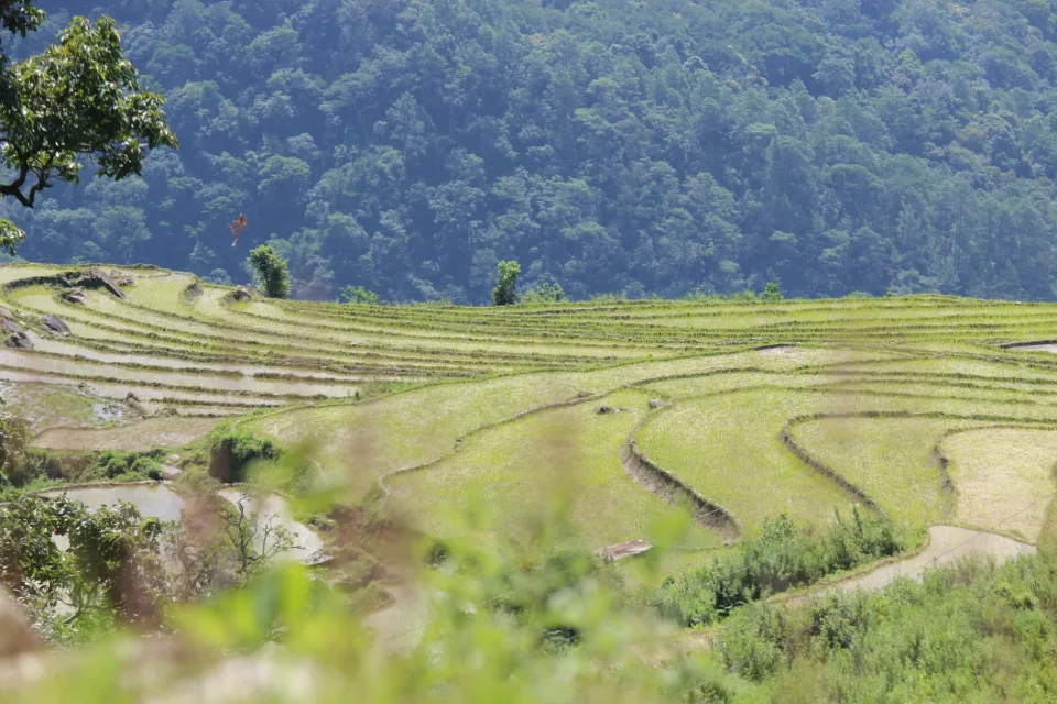 Kho gạo của Nguyễn Văn Thành